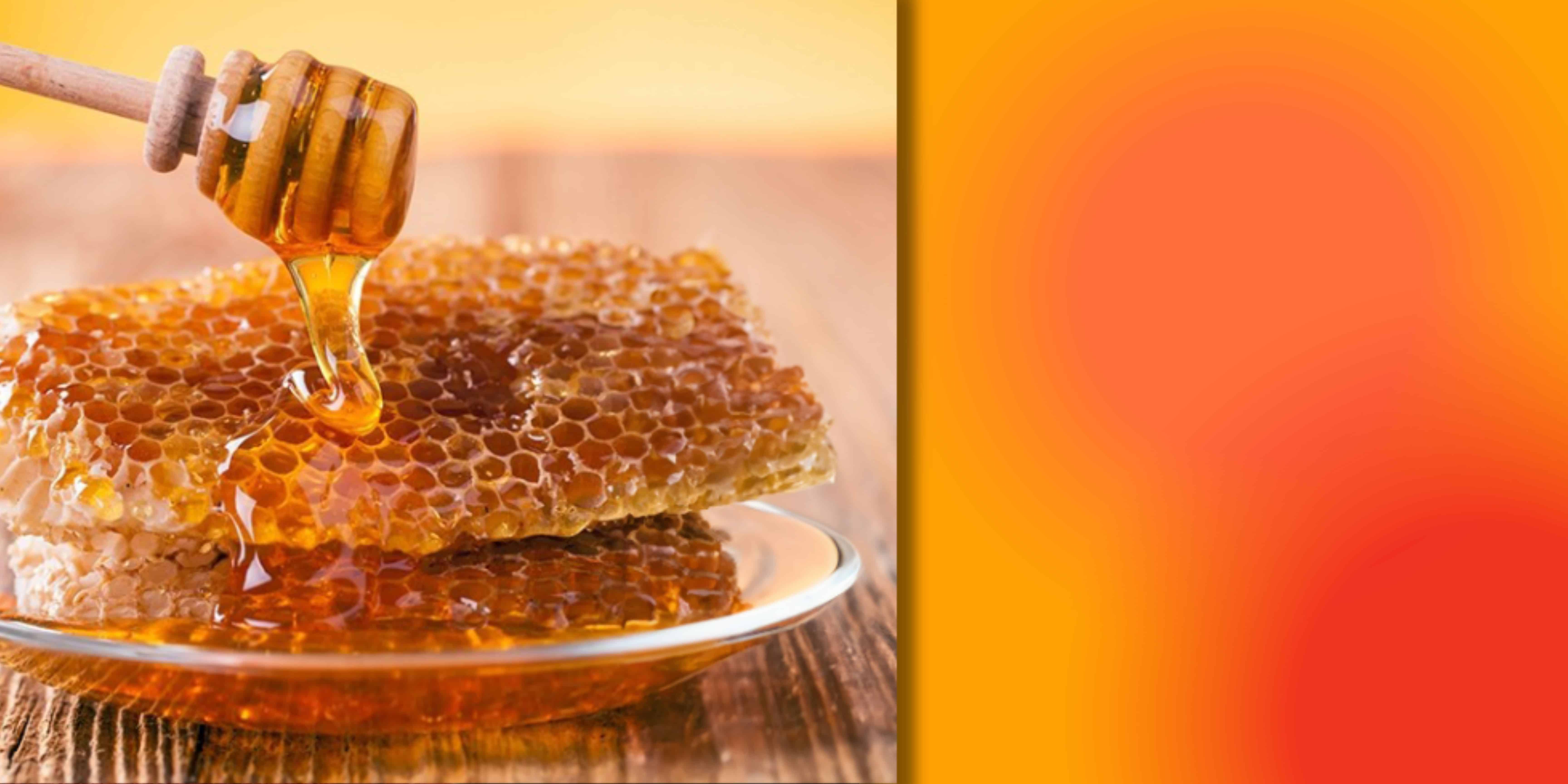 Turkish Honey Banner
