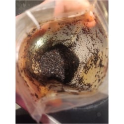 Turkish Isot, Chili Pepper, Traditional Spice customer review photo